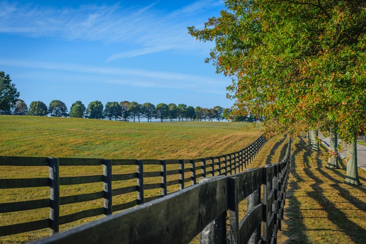 Double fenced, tree lined horse pasture in Fayette County Kentucky near Lexington.