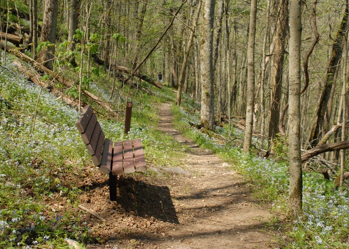 Bench on Red Trail at Raven Run Nature Sanctuary